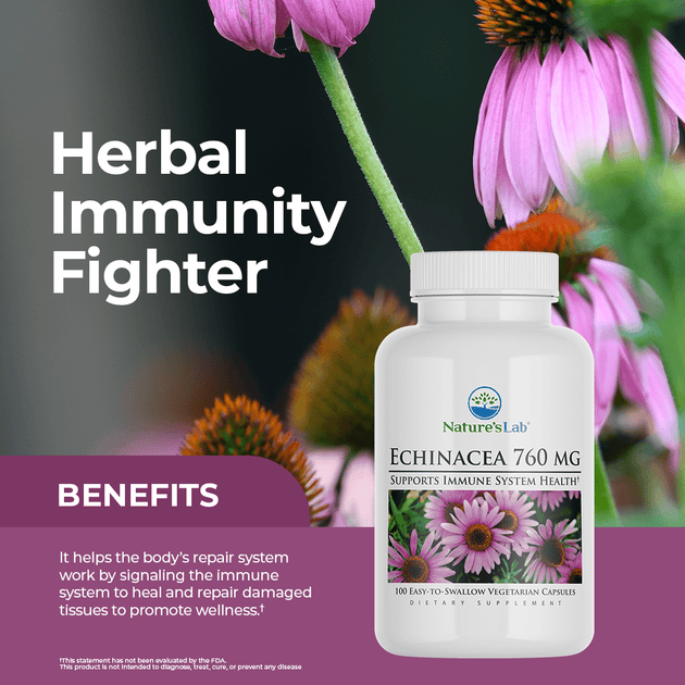 Echinacea_L2_Rev001_-