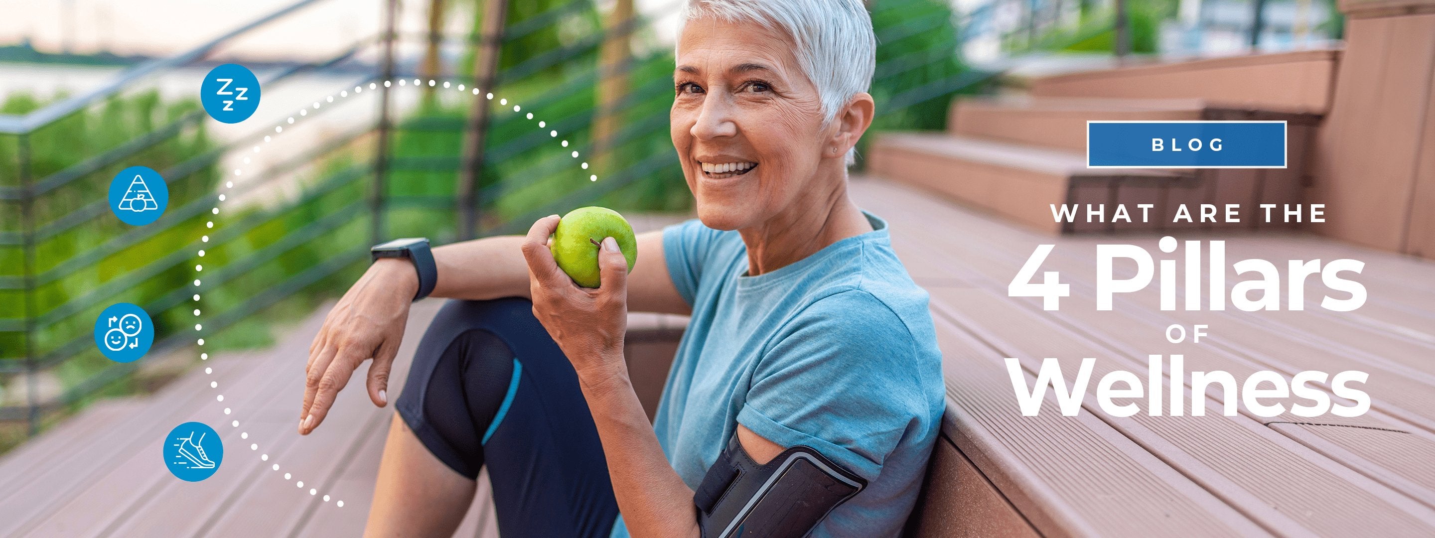 What are the Four Pillars of Wellness?