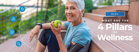 What are the Four Pillars of Wellness?