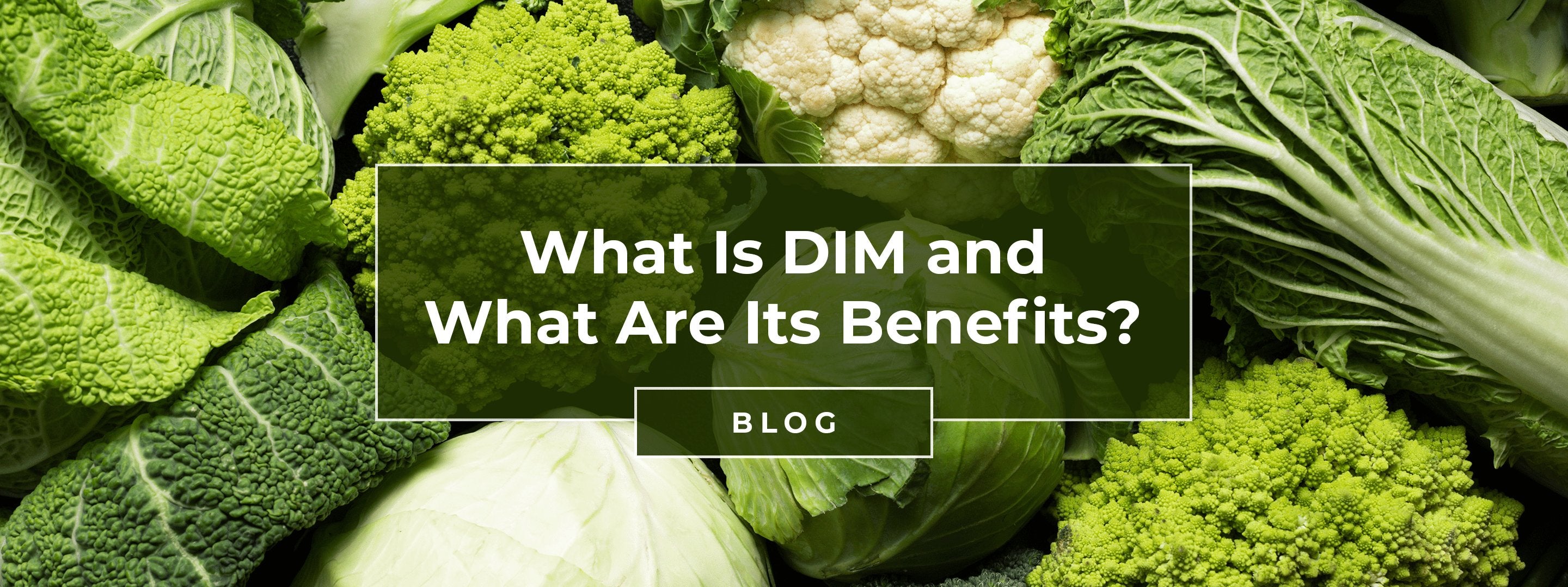 Download Dim What is DIM and What are its Benefits? – Nature's Lab