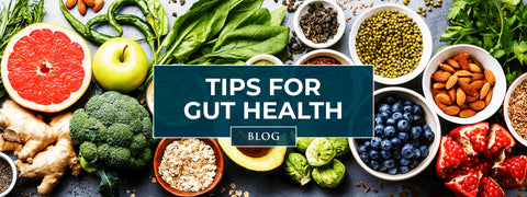 Build a Better Gut: How to Improve Your Digestive Health