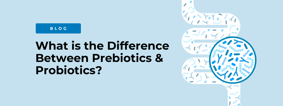 What is the Difference Between Prebiotics and Probiotics?