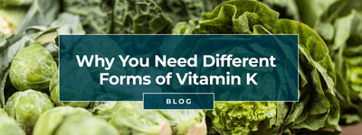 Why You Need Different Forms of Vitamin K