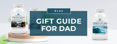 Gift Guide For Dad