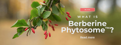 What is Berberine Phytosome™?