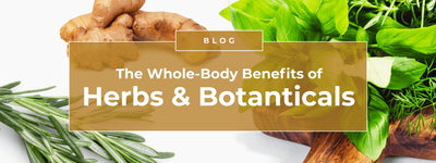 The Whole-Body Benefits of Herbs & Botanicals