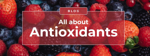 All About Antioxidants