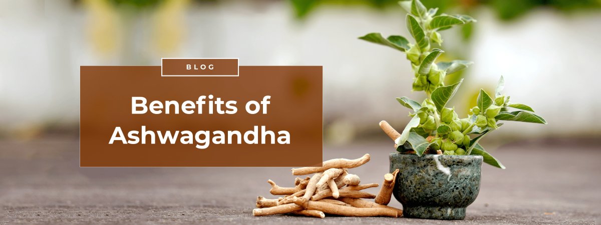 Benefits of Ashwagandha