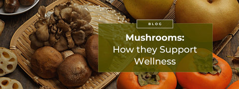 Mushrooms: How They Support Wellness