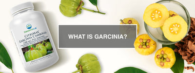 What is Garcinia?
