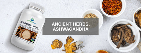 Ancient Herbs