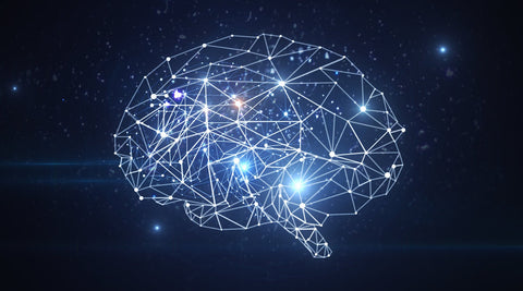 Top 3 Vitamins for Healthy Brain Function