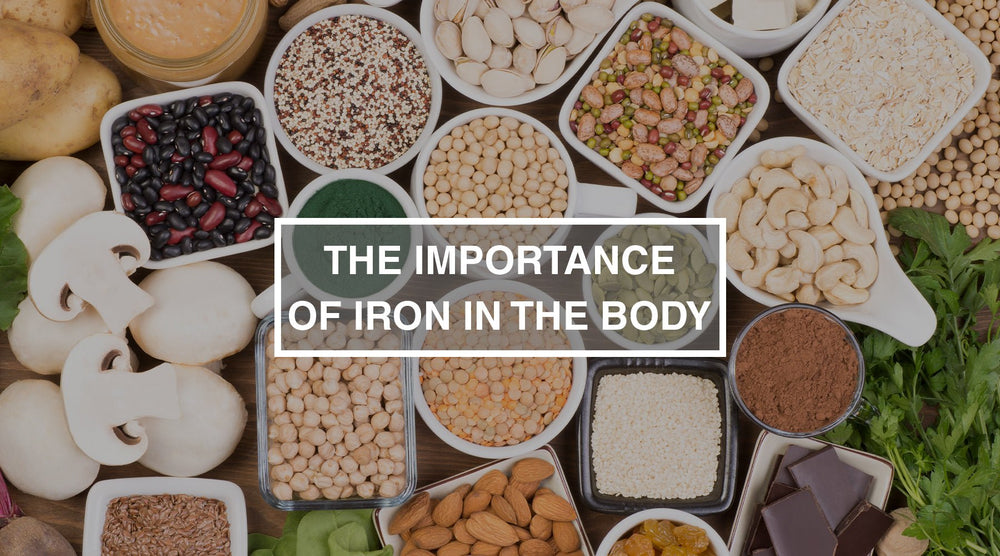 The Importance of Iron in the Body – Nature's Lab The Importance of Iron in the Body – Nature's Lab