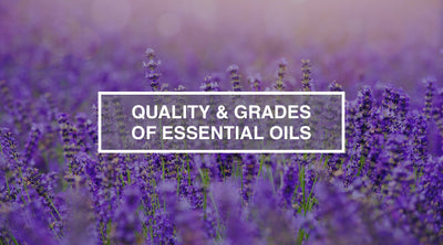 Quality & Grades of Essential Oils