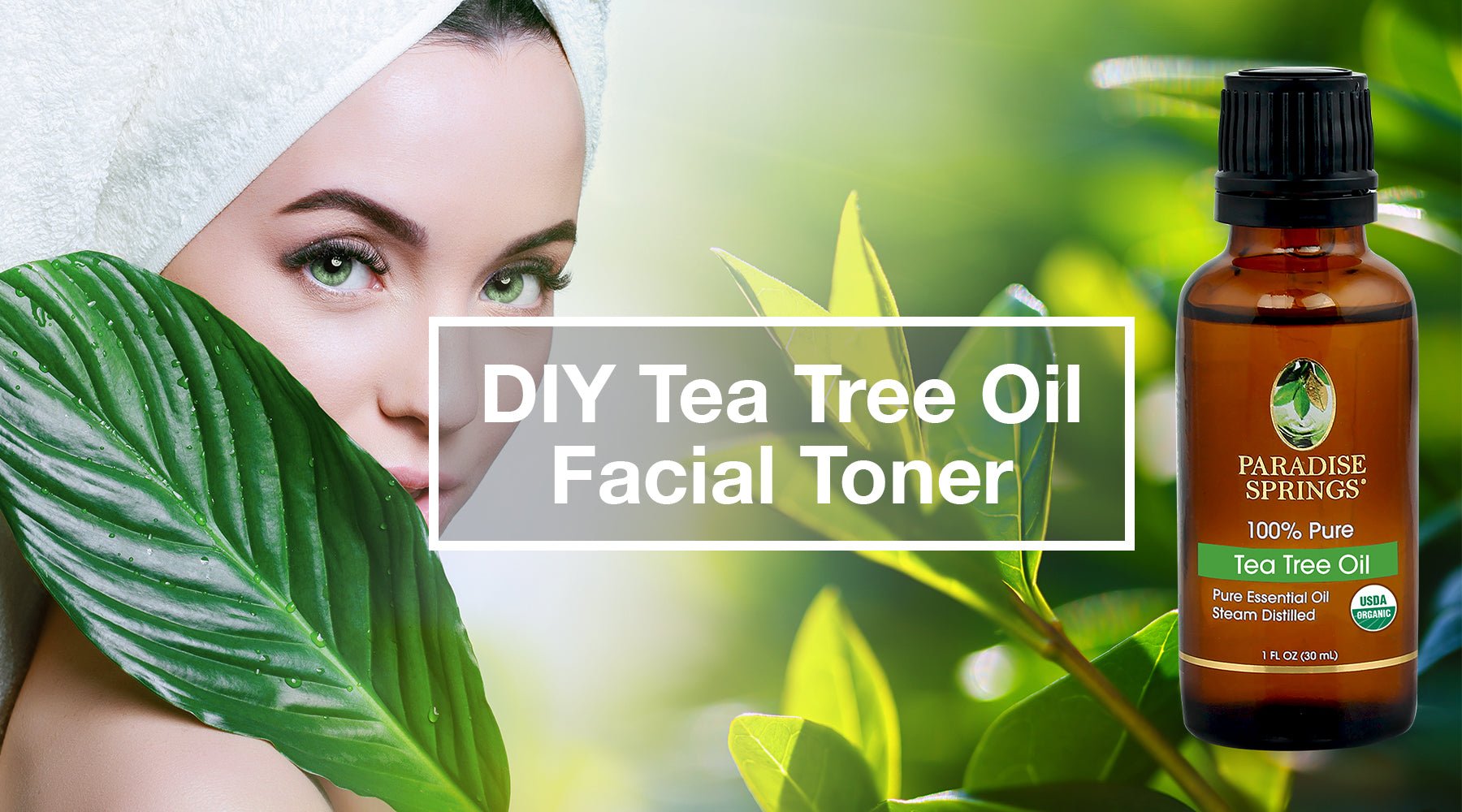 DIY Tea Tree Oil Facial Toner – Nature's Lab