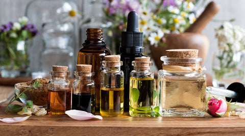 What Differentiates Paradise Springs?