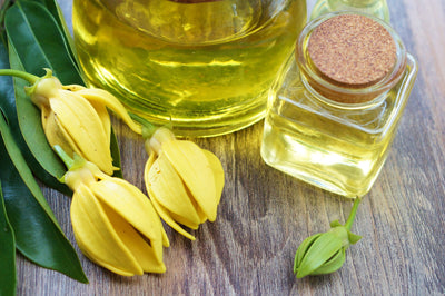 Healthy Hair Serum with Ylang Ylang, Lavender and Rosemary Oil