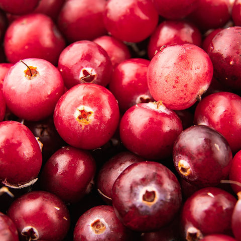 Cranberry - Nature's Lab