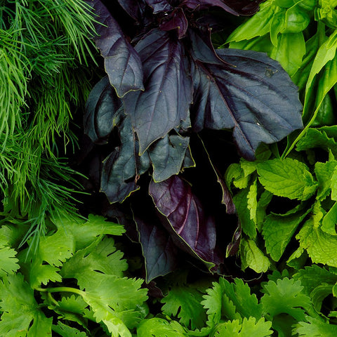 Vitamin B - Nature's Lab