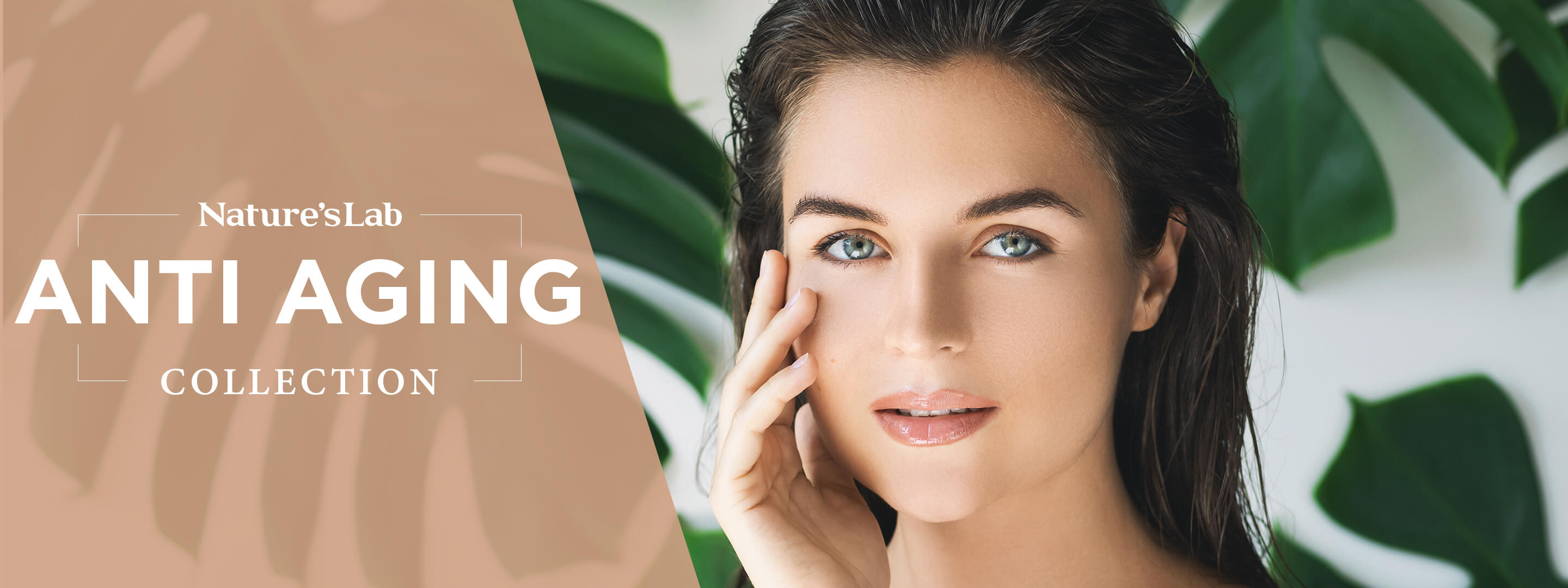 Healthy Aging Products from Nature's Lab