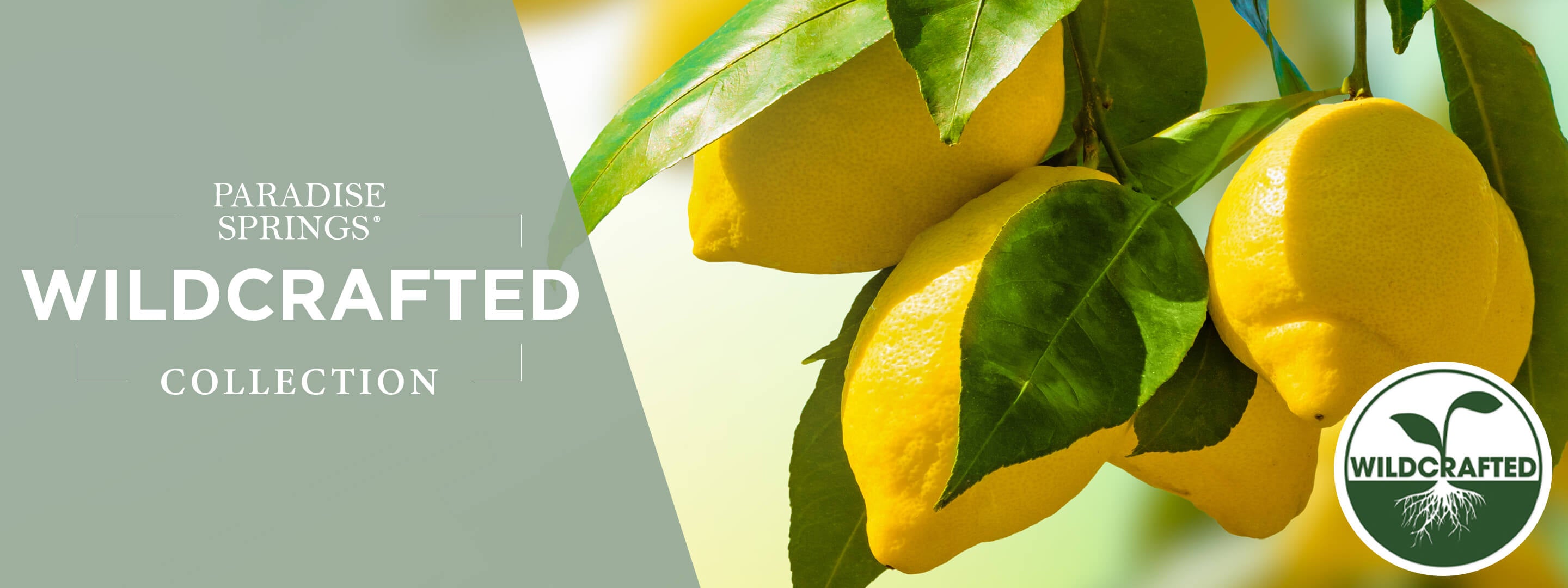 Wildcrafted – Nature's Lab