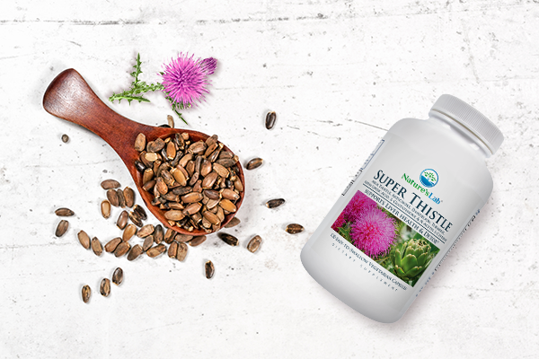 Super Thistle supplement with NAC and milk thistle next to seeds and milk thistle flower on stone background