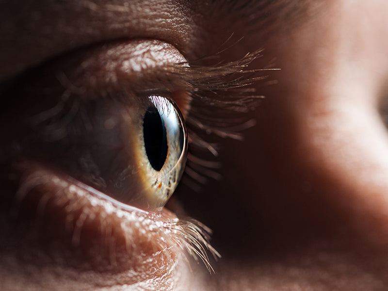 close-up side profile of a person's eye