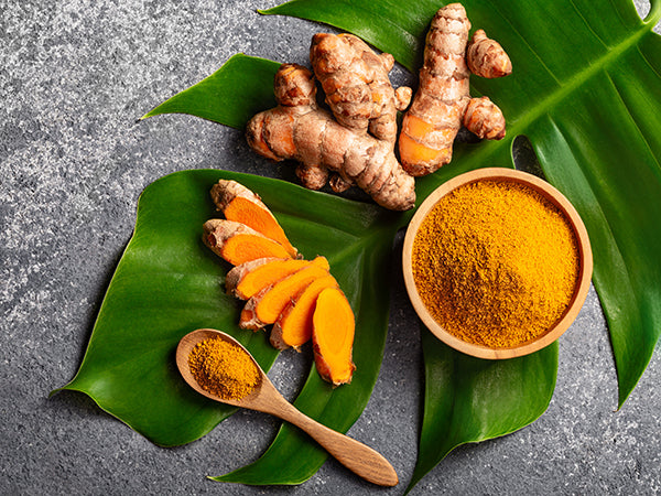 turmeric powder and root on green leaf, gray background