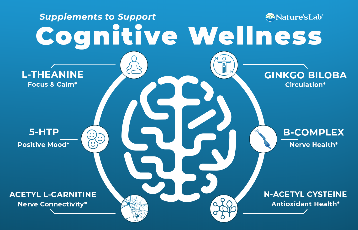 Infographic of top brain supplements and their benefits