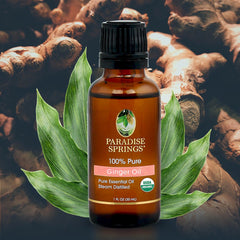 Paradise Springs Organic Ginger Oil - 1 oz (30 mL)