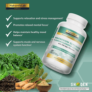 Magnesium Ashwagandha L-Theanine 60ct Benefits