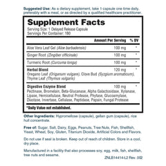 Plant Based Digestive Enzymes | Turmeric and Ginger Capsules – Nature's Lab