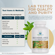 Nature's Lab Nattokinase 2,000 FUs - 90 Capsules