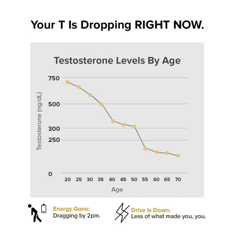 Nature's Lab Gold Vital Testosterone - 90 Capsules