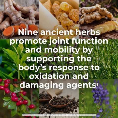 Nature's Lab Gold Whole Body Herbal Complex - 120 Capsules