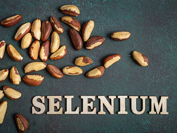 Brazil nuts on dark background with the word Selenium in lower right corner. Selenium-rich food