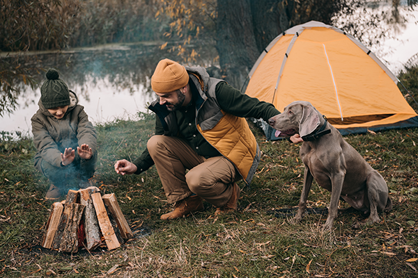 Man and child camping around fire with dog