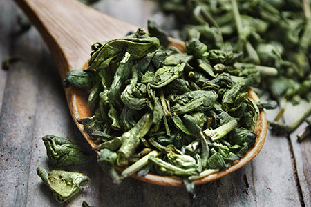 Green tea leaves on wooden spoon