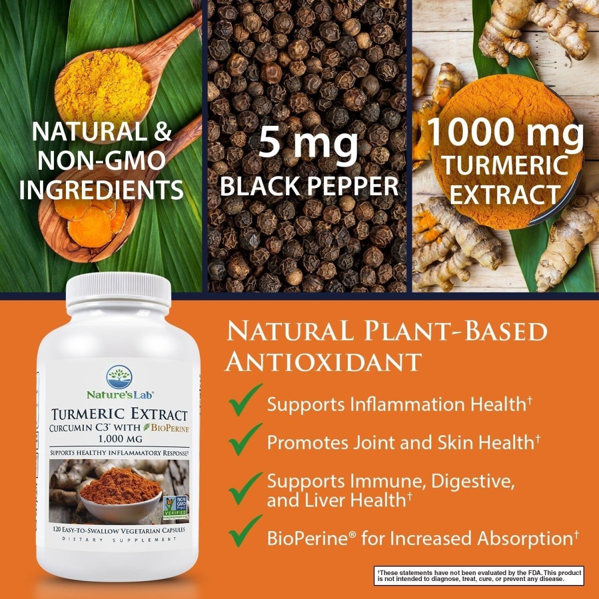 Curcumin C3 Complex | Turmeric with BioPerine® – Nature's Lab