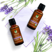 Paradise Springs Organic Lavender Oil - 1 oz (30 mL)