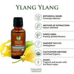 Paradise Springs Organic Ylang Ylang Oil - 1 oz (30 mL)