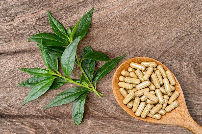 Tan capsules in wooden spoon with plant